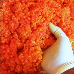 Curing Salmon Eggs